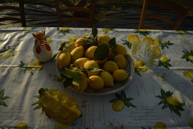 Discovery Tour of Sorrento Lemon in Massa Lubrense - Key things to know before you go