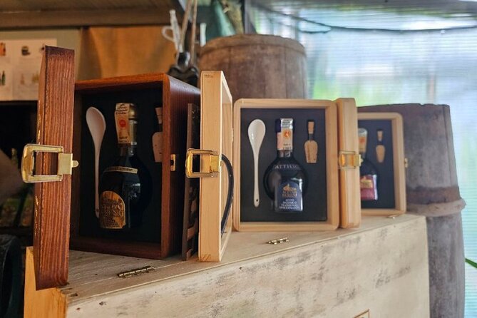 E-Bike Tour in the Sorrento Peninsula and Visit to Acetaia - Massa Lubrense Farm Stop in Santa Maria Annunziata: Lemon Grove, Vinegar Focus