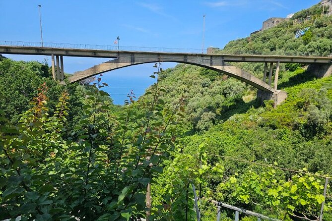 E-Bike Tour in the Sorrento Peninsula and Visit to Acetaia - Who This E-Bike and Acetaia Stop Fits Best