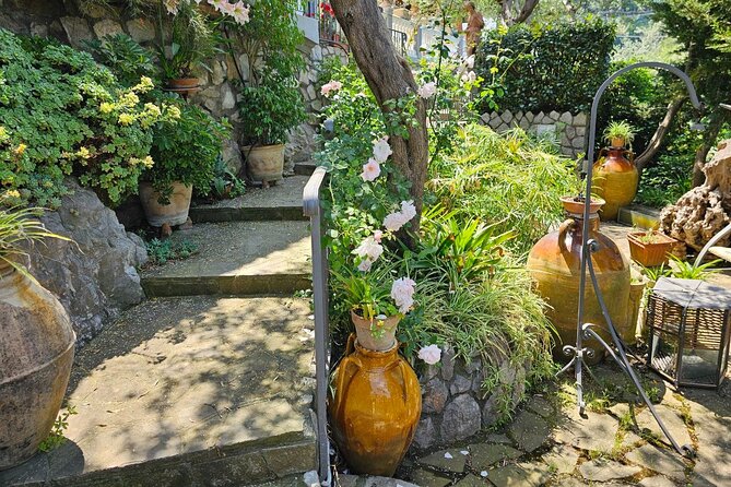 E-Bike Tour in the Sorrento Peninsula and Visit to Acetaia - The E-Bike Ride Along the Sorrento Coast: Hills, Groves, and Gulf Views