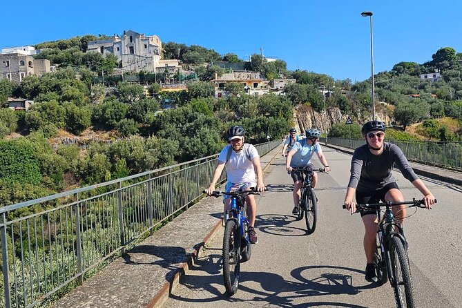 E-Bike Tour with Craft Beer Tasting in Sorrento - Why this late-afternoon e-bike tour feels like a smart Sorrento plan