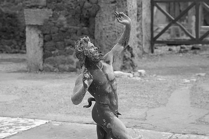 Enjoy Pompeii & Mt. Vesuvius: Semi-Private Tour from Positano - Price and value: is $252.23 a fair deal?