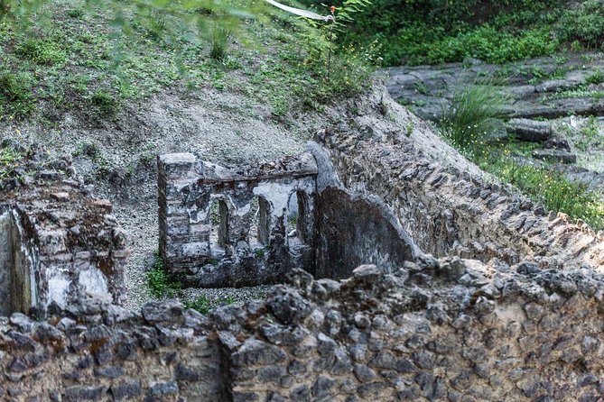 Explore Pompeii: Private Tour, Wine Tasting & Lunch - Price and What You’re Really Paying For