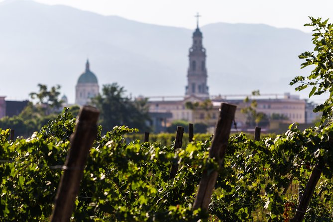 Explore Pompeii: Private Tour, Wine Tasting & Lunch - Stop 1 at Bosco de’ Medici: Vineyards, Cellar, and Lunch Pairing