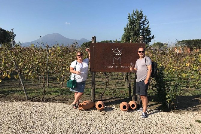 Explore Pompeii: Private Tour, Wine Tasting & Lunch - Stop 2 in Pompeii: A Guided Walk That Uses Your Time