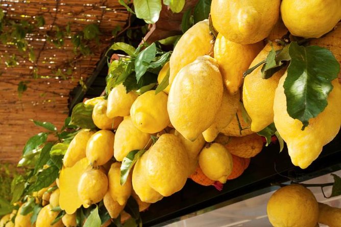Farm-to-Table Experience: Olive Oil, Garden Tour & Nonna’s Lunch - Mama’s grandma lunch: what the meal feels like and what to expect