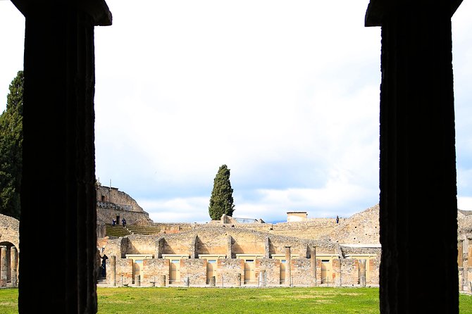 Fast Access Exclusive Private Ancient Pompeii Herculaneum & Oplontis Guided Tour - Stop 1: Scavi di Oplontis (1 hour) and the Villa Poppea focus