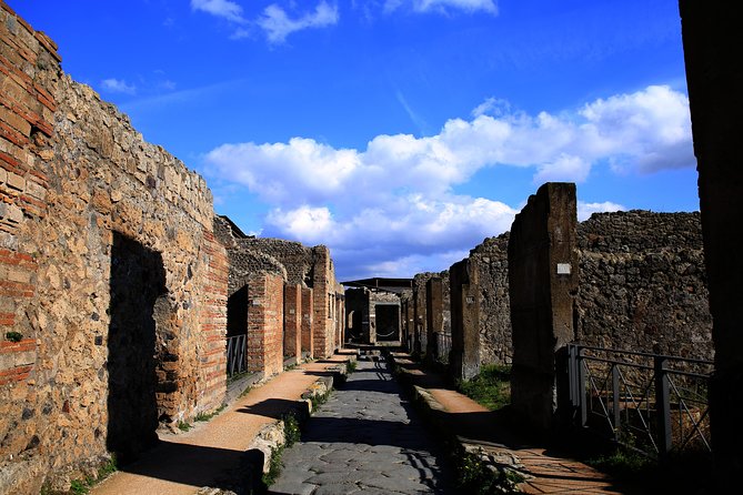 Fast Access Exclusive Private Ancient Pompeii Herculaneum & Oplontis Guided Tour - Stop 2: Pompeii Archaeological Park (2 hours) and what you get from a “largest site” day