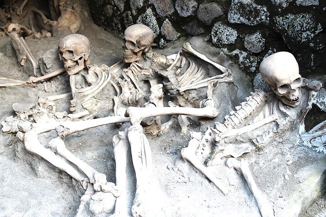 Fast Access Exclusive Private Ancient Pompeii Herculaneum & Oplontis Guided Tour - Fast Access really means time saved at every gate