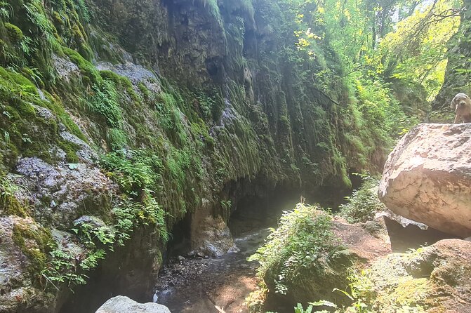 Ferriere waterfalls hike - Amalfi and Ravello Coast - Enzo Masullo and why the guide changes the experience