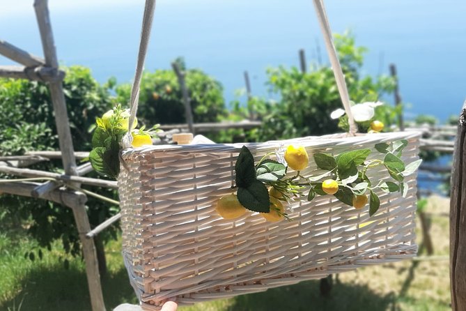 Fifty Shades of Lemon - Villa Cimbrone Gardens: where a stroll feels like a reset