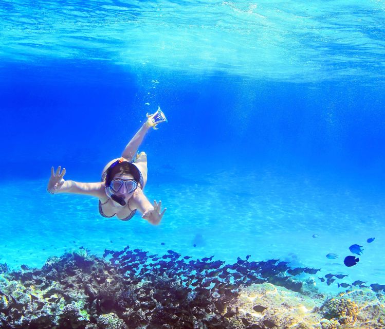 From Amalfi: Capri Island Boat Tour with Snorkeling & Drinks - Key things to know before you go