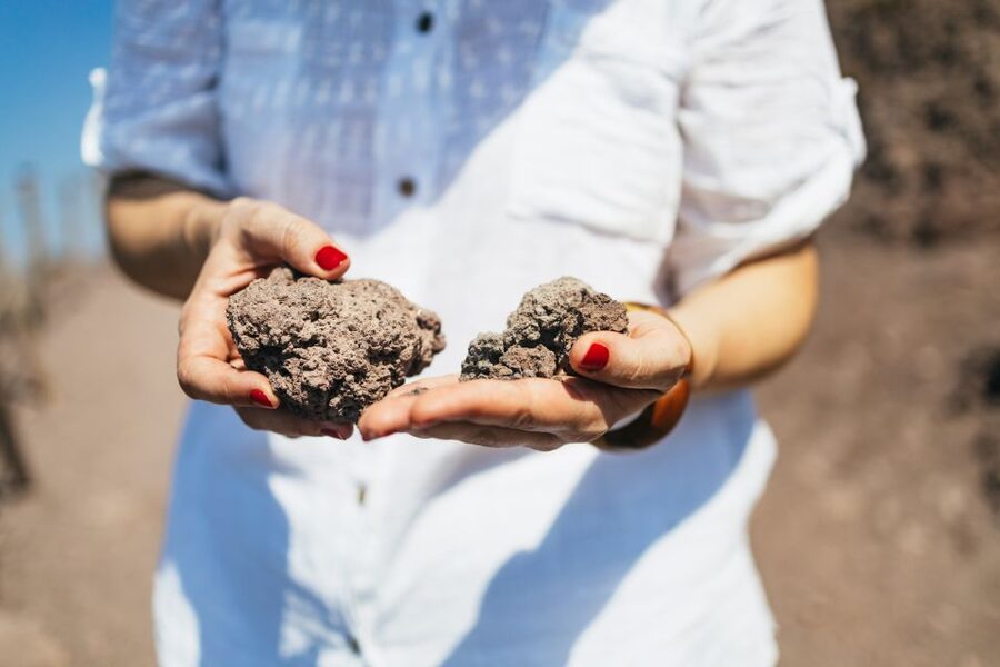 From Naples: All-Inclusive Mount Vesuvius Half-Day Tour - Who this tour fits best in real life