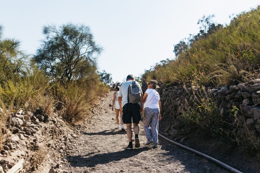 From Naples: All-Inclusive Mount Vesuvius Half-Day Tour - Timing on the ground: how much hiking time feels realistic