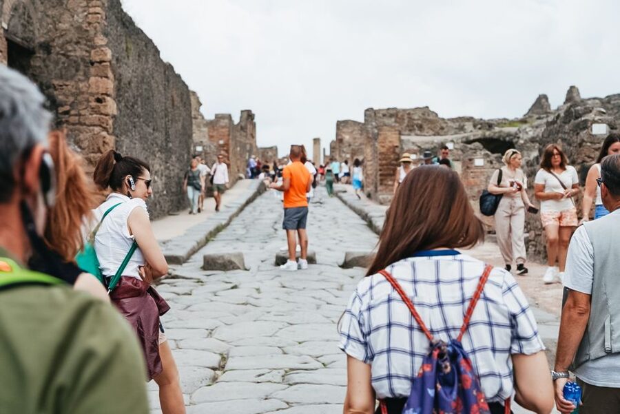 From Naples or Sorrento: Pompei Half-Day Tour - Timing, comfort, and the toilet reality