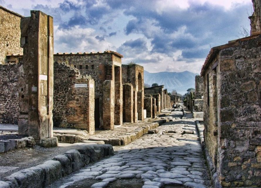 From Naples: Pompeii and Herculaneum VIP Tour with Lunch - Naples Pickup and the Ride to Vesuvius Country