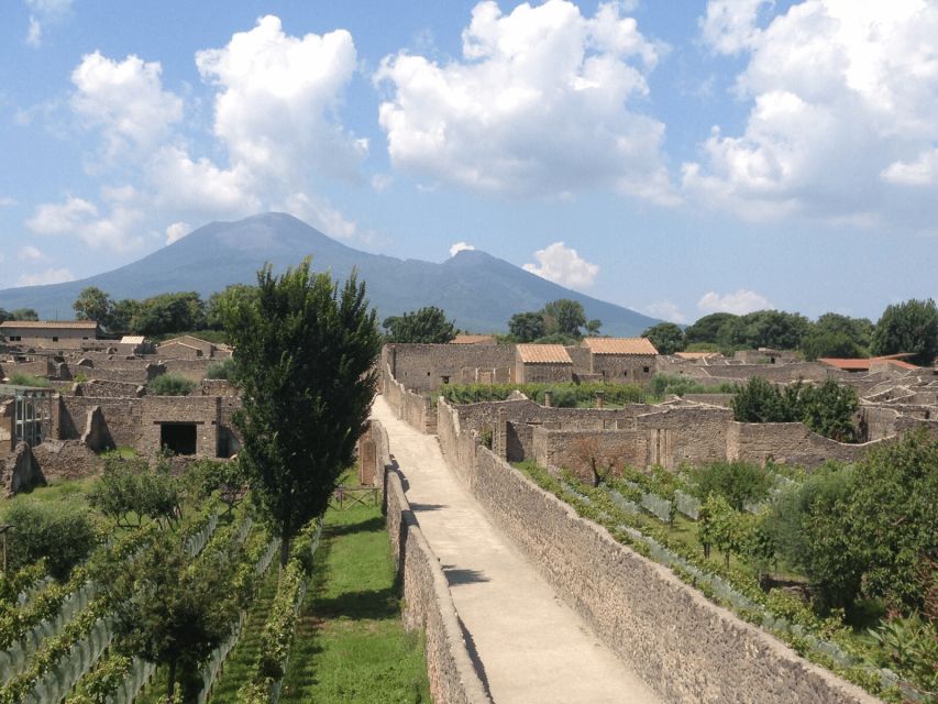 From Naples: Pompeii Ruins VIP Guided Tour - Your Pompeii Walking Tour: 2 Hours With the Best “Aha” Moments