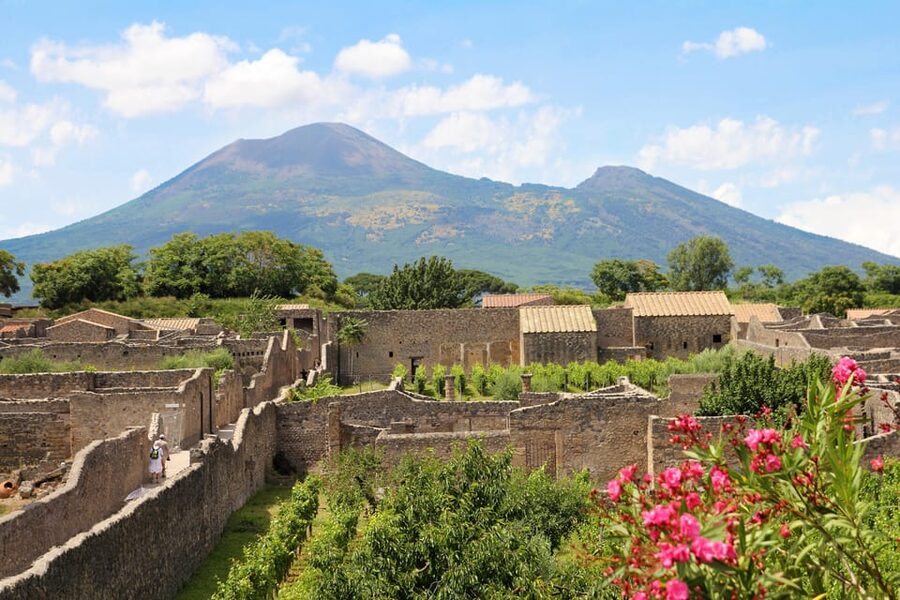 From Naples Port:Pompeii+Vesuvius tour - Key highlights to look for