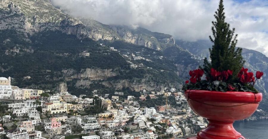 From Naples: Private Tour of the Amalfi Coast - Your driver and the smooth logistics from Naples