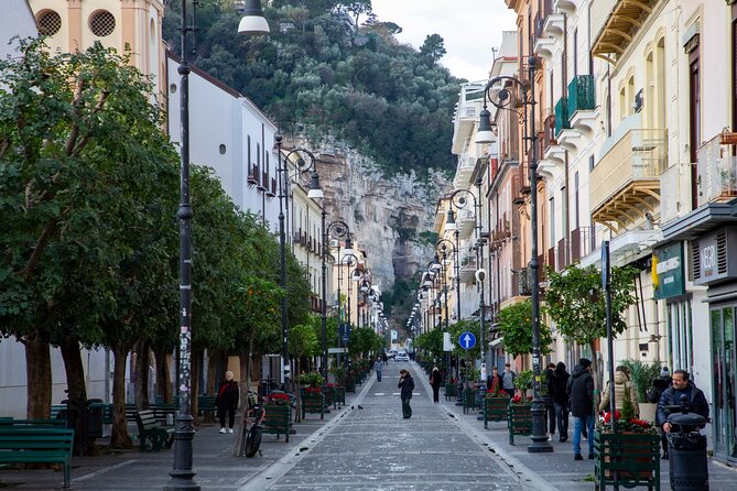 From Naples: Private Tour Pompei and Sorrento with lunch - Potential drawbacks to plan around (so you enjoy it more)