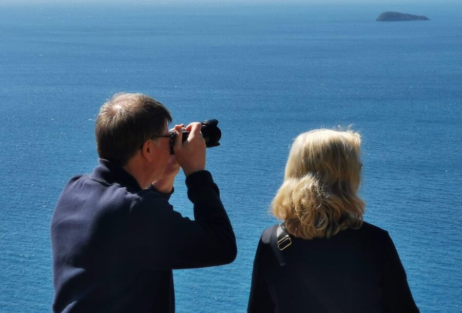 From Naples: Private Tour to Pompeii, Sorrento, and Positano - Why this Naples-to-Amalfi route feels efficient