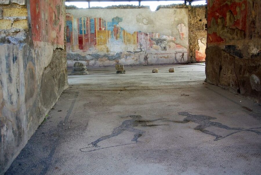 From Naples: Private Tour to Pompeii, Sorrento, and Positano - Who this private tour suits best