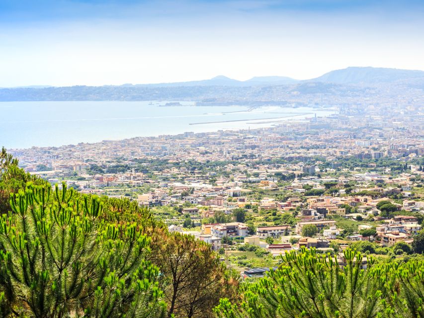 From Naples: Vesuvius & Pompeii with Transfer & Audio Guide - The Vesuvius Crater Walk: Views Over the Gulf