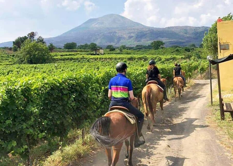 From Pompeii: Mount Vesuvius Horseback Riding Tour - Key things I’d watch for before you go