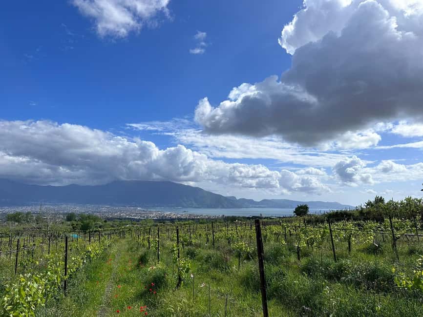 From Pompeii: Mount Vesuvius Horseback Riding Tour - From Pompeii pickup to Vesuvius stables, here’s the rhythm