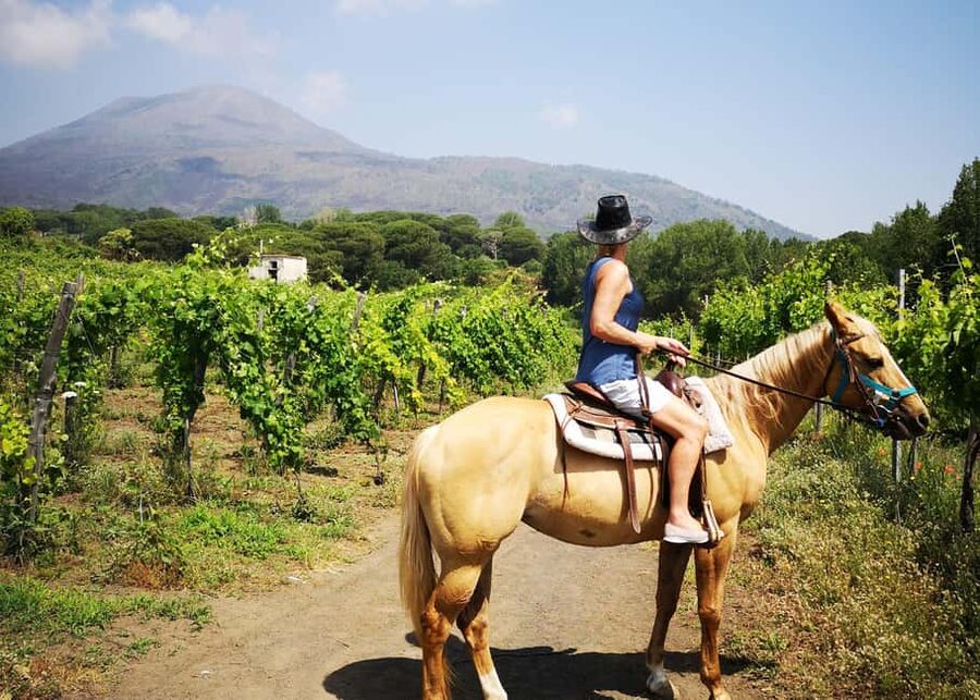 From Pompeii: Mount Vesuvius Horseback Riding Tour - Riding the Vesuvius vineyards: what the 1 hour feels like