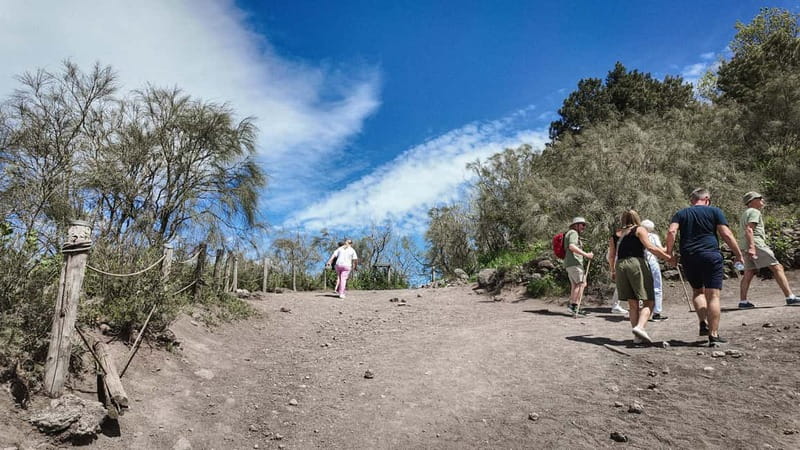 From Pompeii: Mount Vesuvius with bus, ticket and audioguide - The 45-minute transfer to Mount Vesuvius (what to expect)