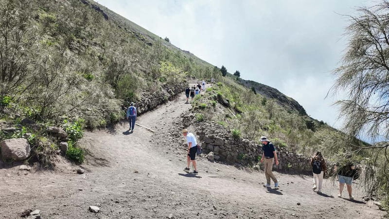 From Pompeii: Mount Vesuvius with bus, ticket and audioguide - Price and value: is $39 a smart deal?