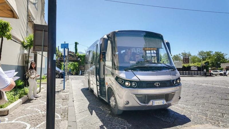 From Pompeii: Mount Vesuvius with bus, ticket and audioguide - Choosing the park ticket: what it changes for your day