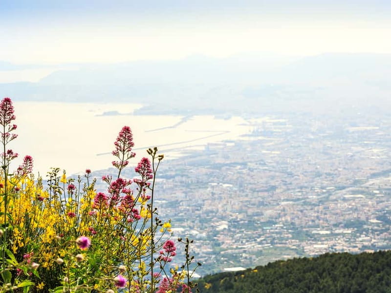From Pompeii: Mt. Vesuvius Hike & Tour by Bus - Pompeii to Vesuvius: the value of a tight, well-timed tour