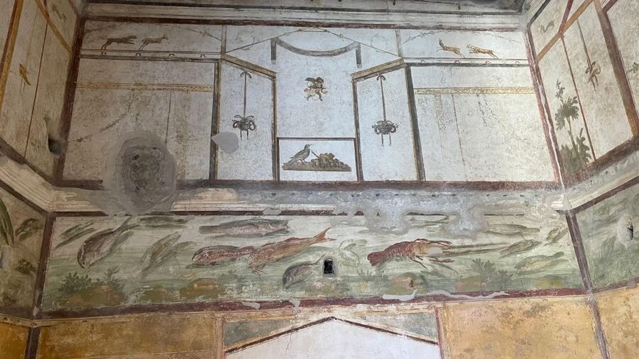From Positano: Pompeii & Vesuvius tour small group - How much Vesuvius time you will really enjoy