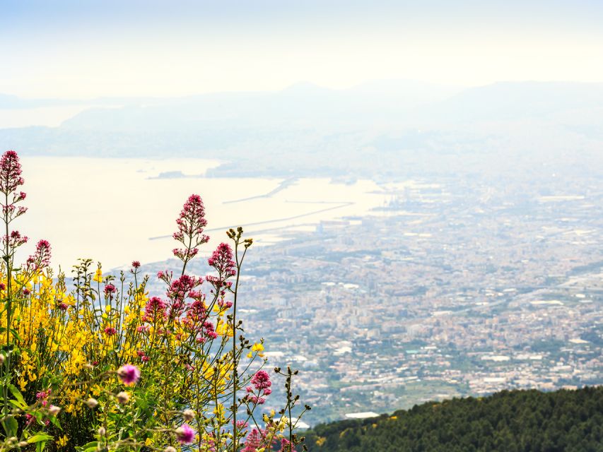 From Salerno: Vesuvius & Pompeii with audioguide - Meeting at Piazza Vittorio Veneto, 6, outside Banca Generali