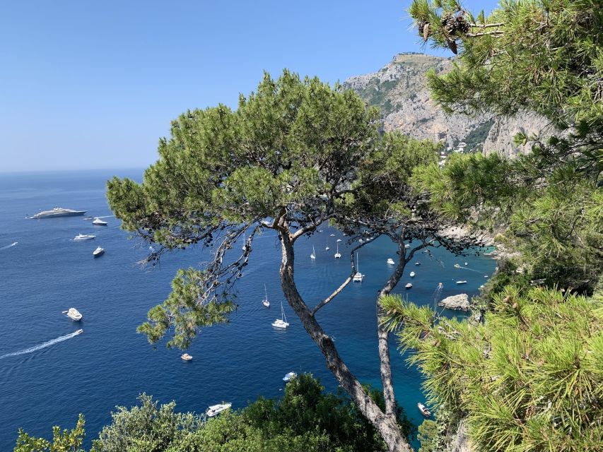 From Sorrento: Day Trip to Capri & Anacapri with Blue Grotto - Why Capri and Anacapri in One Day Works From Sorrento