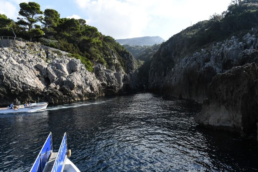 From Sorrento: Day Trip to Capri with Blue Grotto - Price and value: what $88 buys, and what might add up