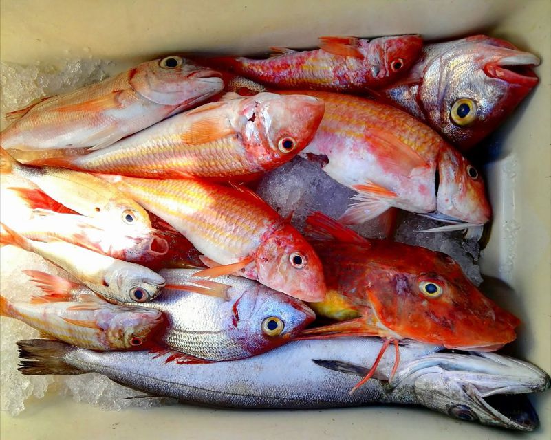 From Sorrento: Fishing in Capri with Lunch - Why this Capri fishing day feels different