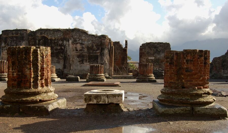 From Sorrento: Full-Day Pompeii & Wine Tasting Tour - Should you book this Sorrento to Pompeii and Bosco dei Medici tour?