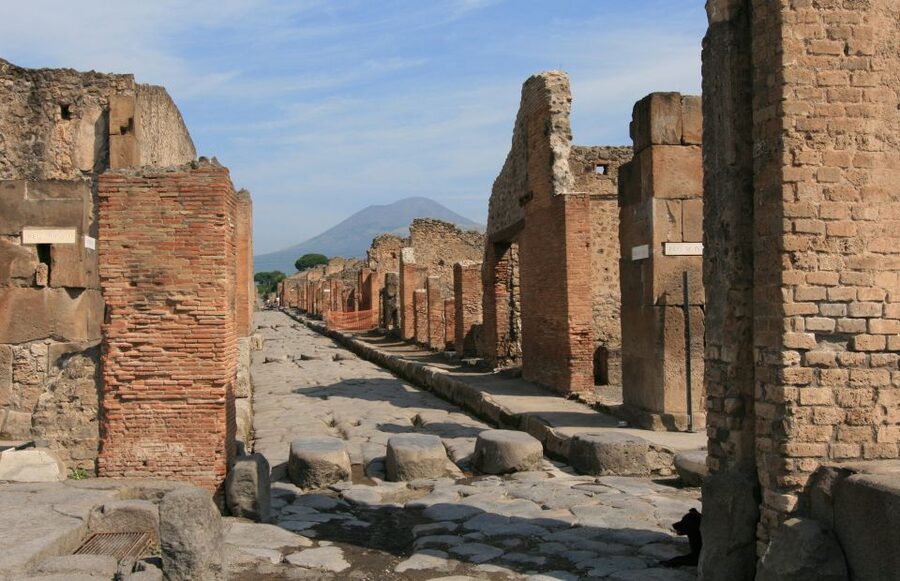From Sorrento: Herculaneum and Pompeii Group Excursion - Pompeii guided walk: streets, baths, forums, and frescoed villas