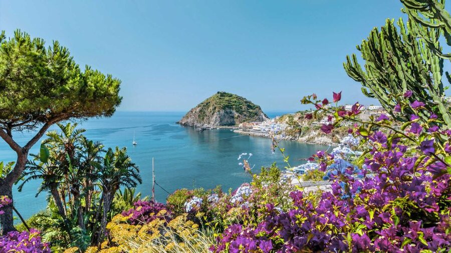 From Sorrento: Ischia and Procida Boat Tour - Sailing Around Procida’s Highlights: Vivara, Terra Murata, Corricella