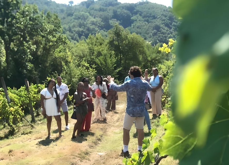 From Sorrento & Naples: Cortecorbo Wine & Cooking Experience - The value question: is it worth $112.15 per person?