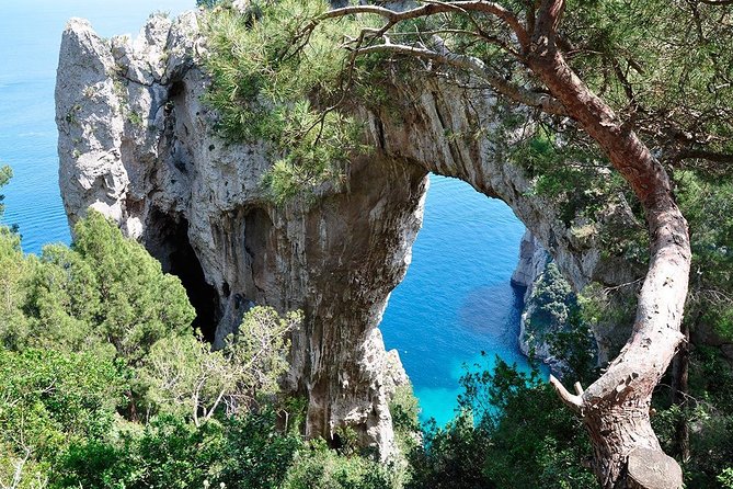 From Sorrento/Nerano: Capri Shared Tour - without pick up - Optional minibus to Anacapri: convenience or waste?