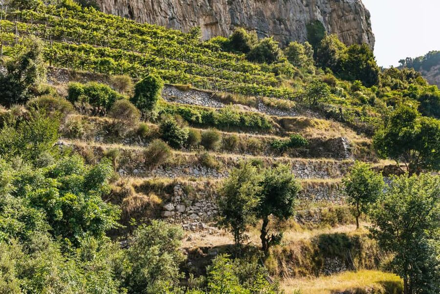 From Sorrento: Path of the Gods Guided Hike with Transfers - The shepherd hut stop: where the tour becomes personal