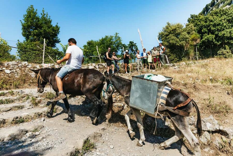From Sorrento: Path of the Gods Guided Hike with Transfers - Price and value: what you’re really buying