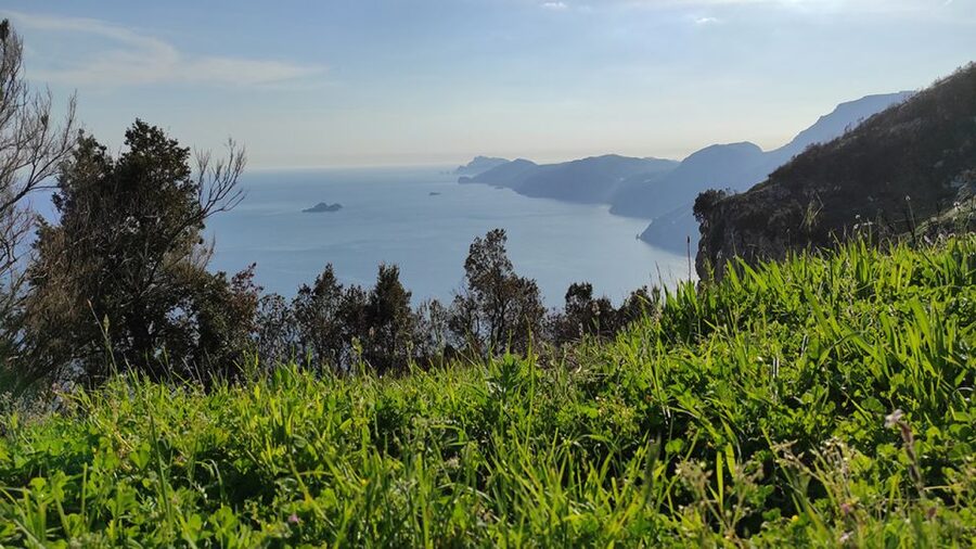 From Sorrento: Path of the Gods Hike with Tasting Stop - Getting the difficulty right: what medium means in real life