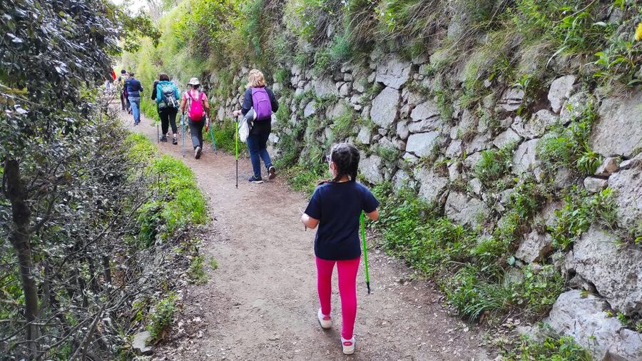 From Sorrento: Path of the Gods Hike with Tasting Stop - Price and value: is $129.14 a fair deal?