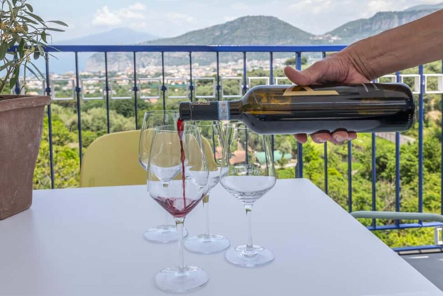From Sorrento: Pizza-Making Class w/ View of Mount Vesuvius - Who Should Book This Pizza Class