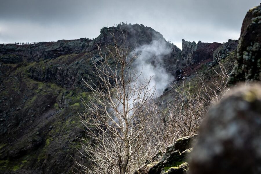 From Sorrento: Pompeii and Vesuvius Guided Tour with Lunch - Logistics That Make or Break the Day